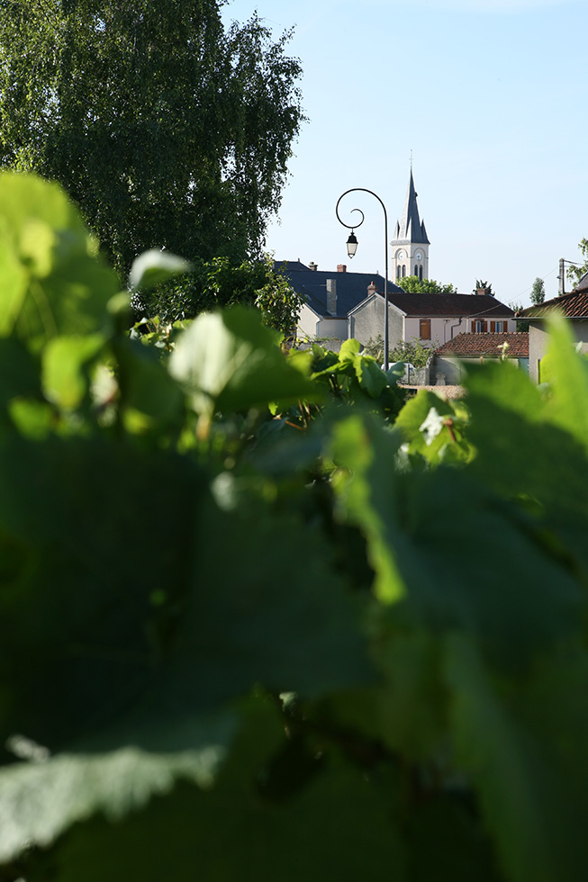 Clos du Mont Rouge à Bouzy